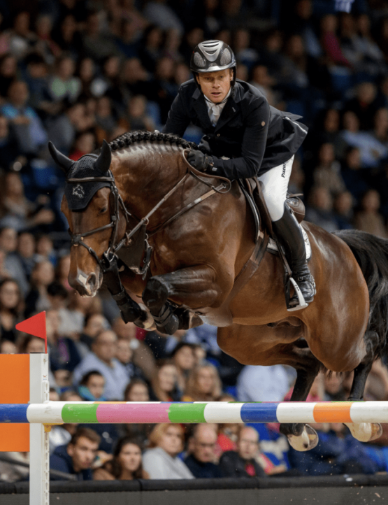 Embrião GRANDORADO TN x GALIPOLLI TER DOORN