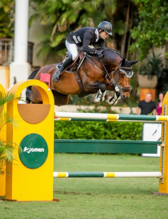 Embrião GRANDORADO TN x GALIPOLLI TER DOORN