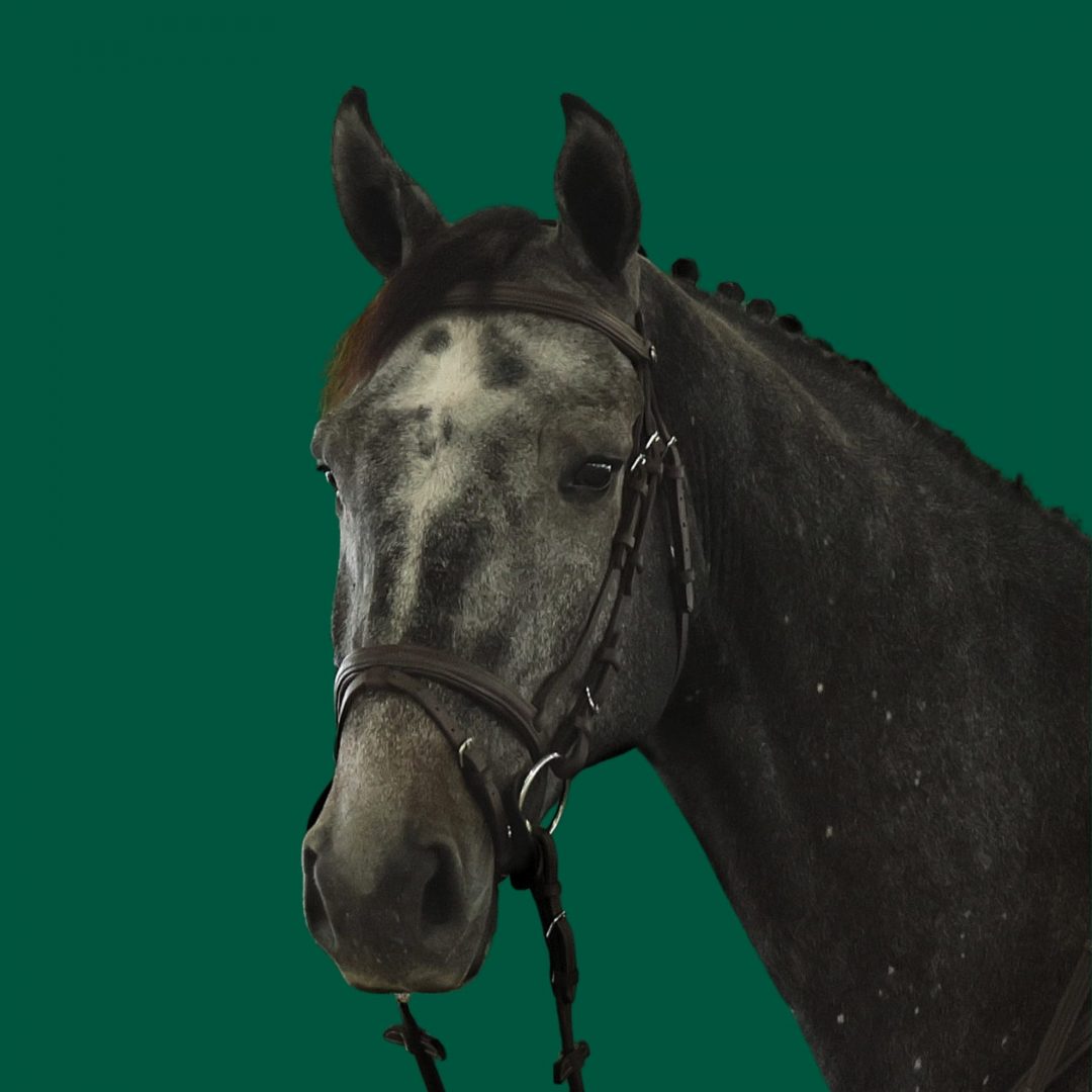 Haras Umburanas