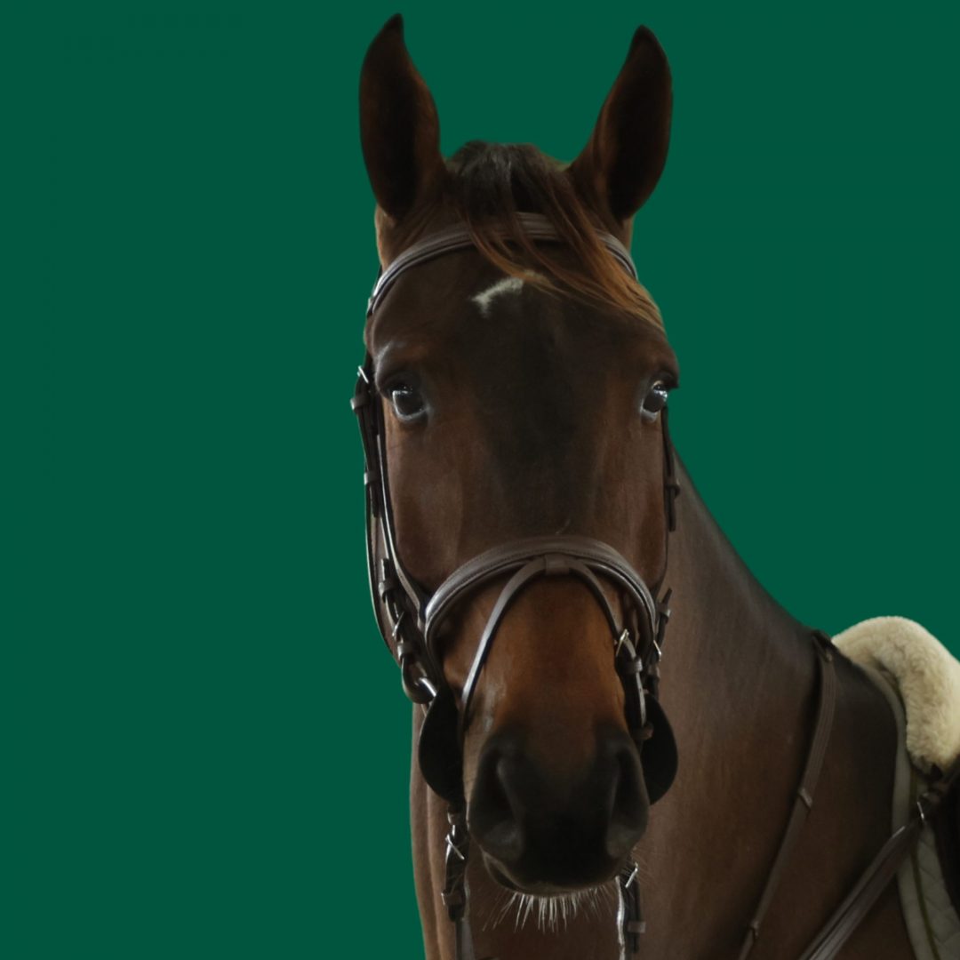 Haras Umburanas