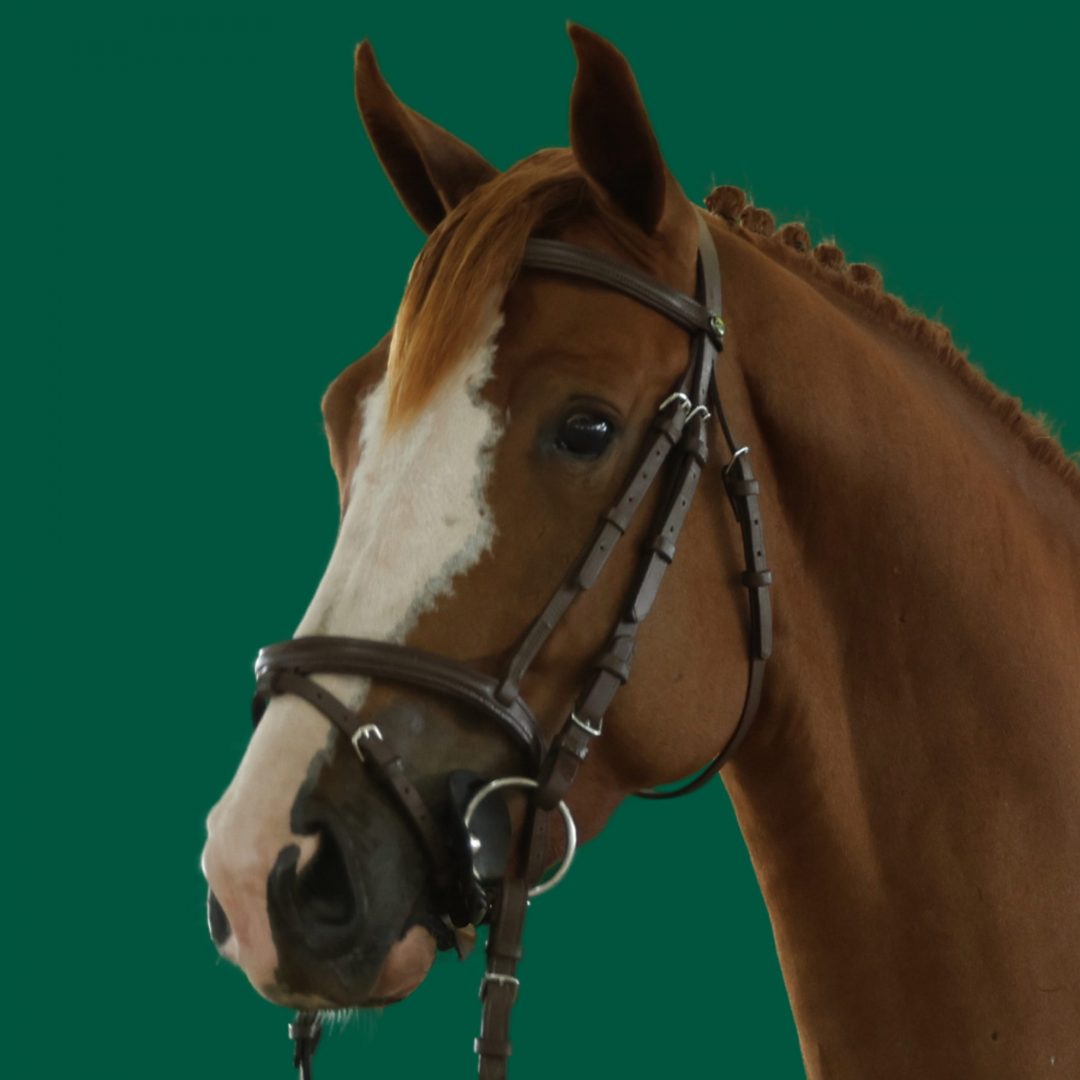 Haras Umburanas