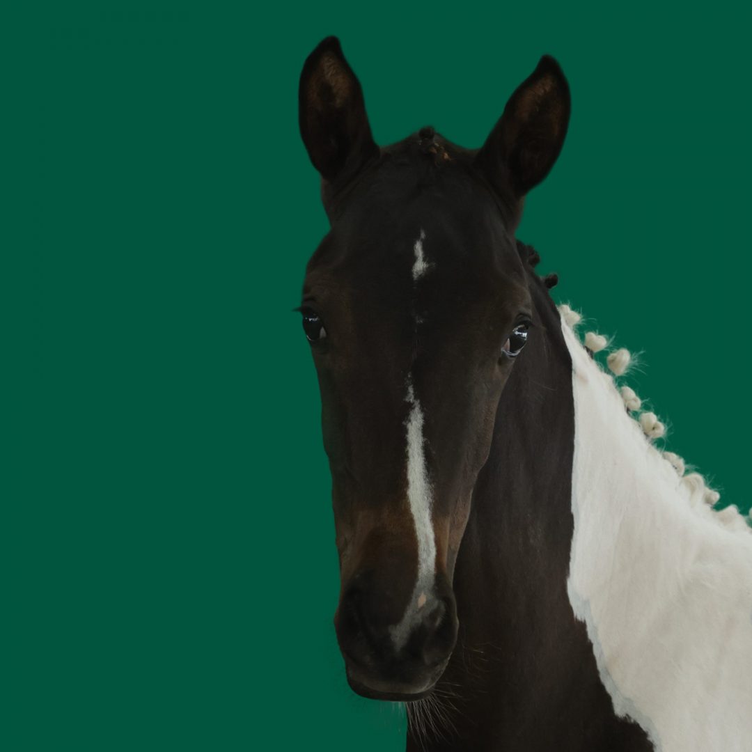 Haras Umburanas