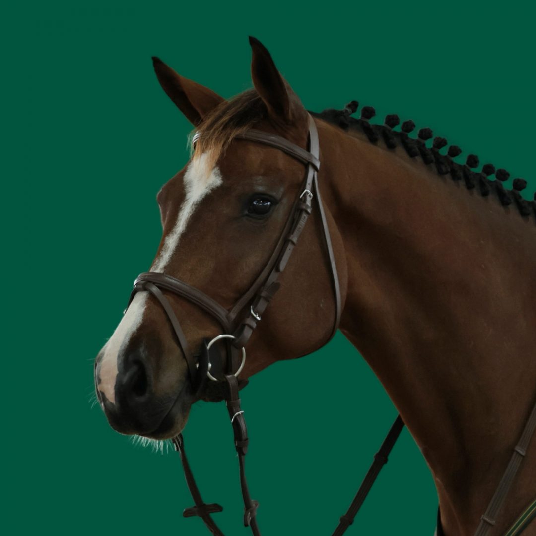 Haras Umburanas