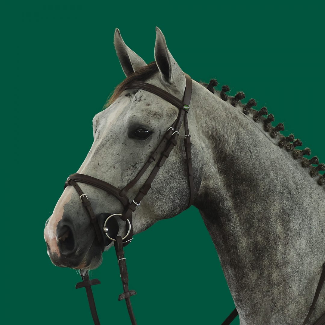 Haras Umburanas