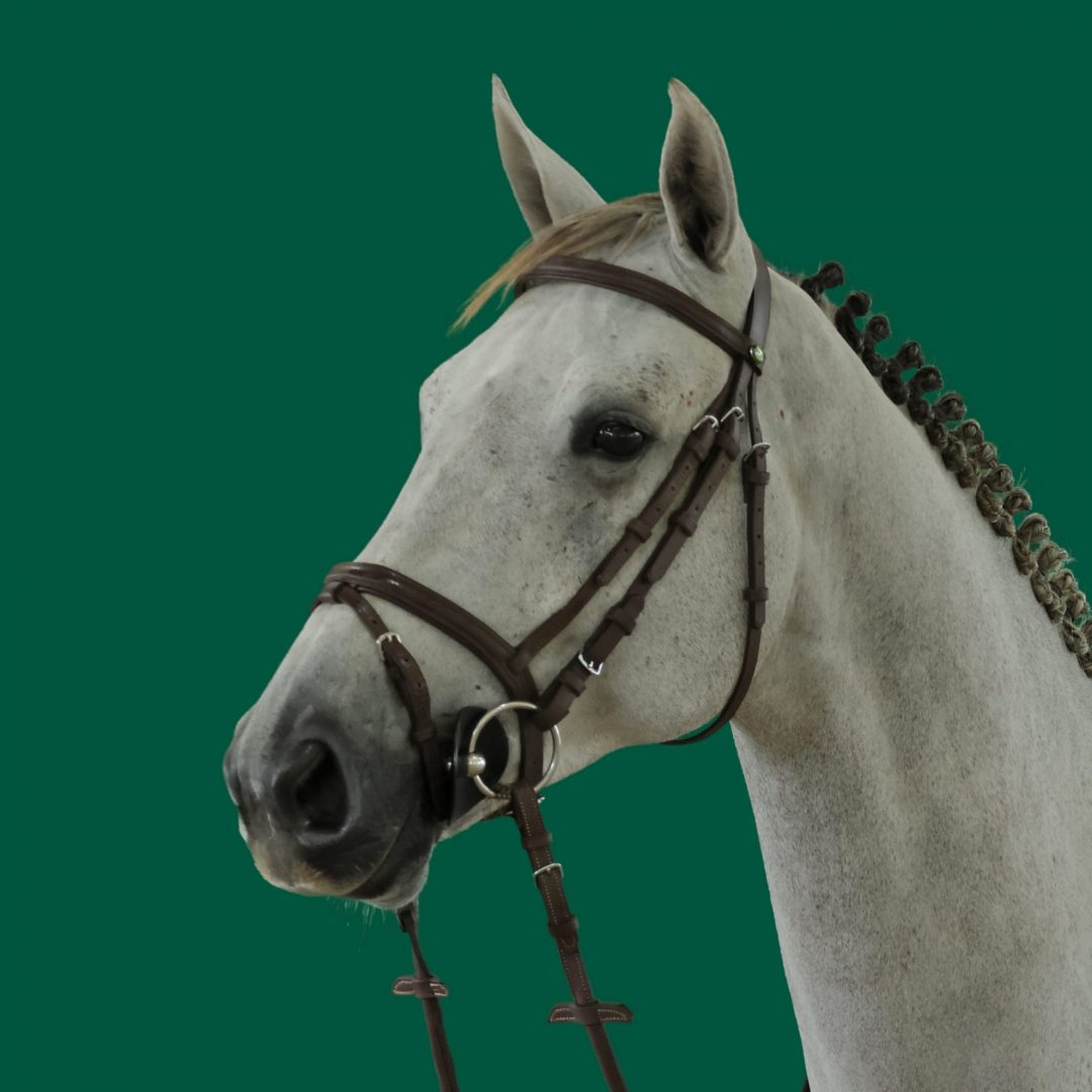 Haras Umburanas