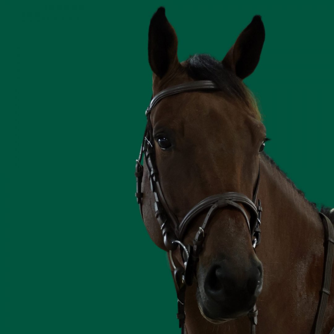 Haras Umburanas