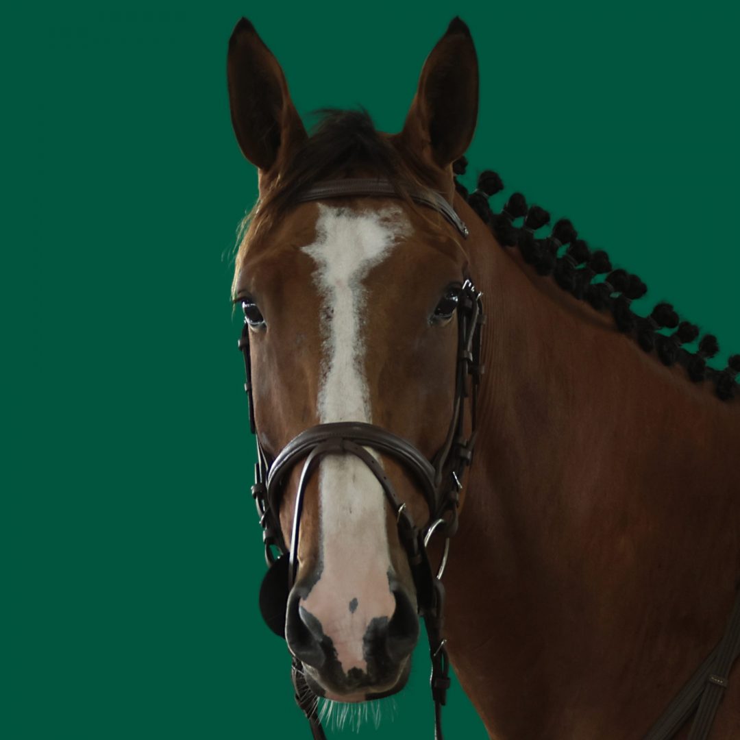 Haras Umburanas