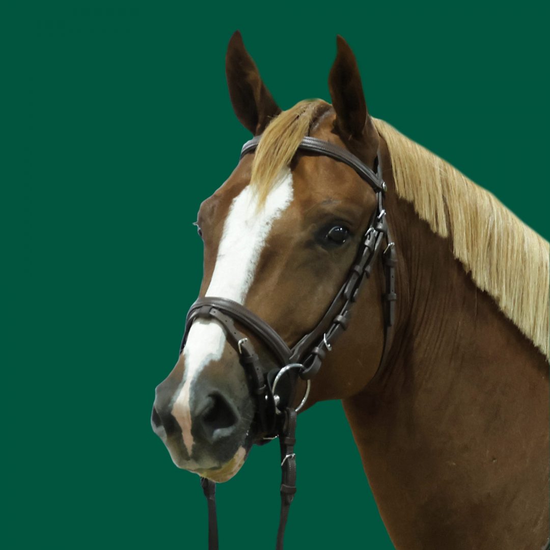 Haras Umburanas